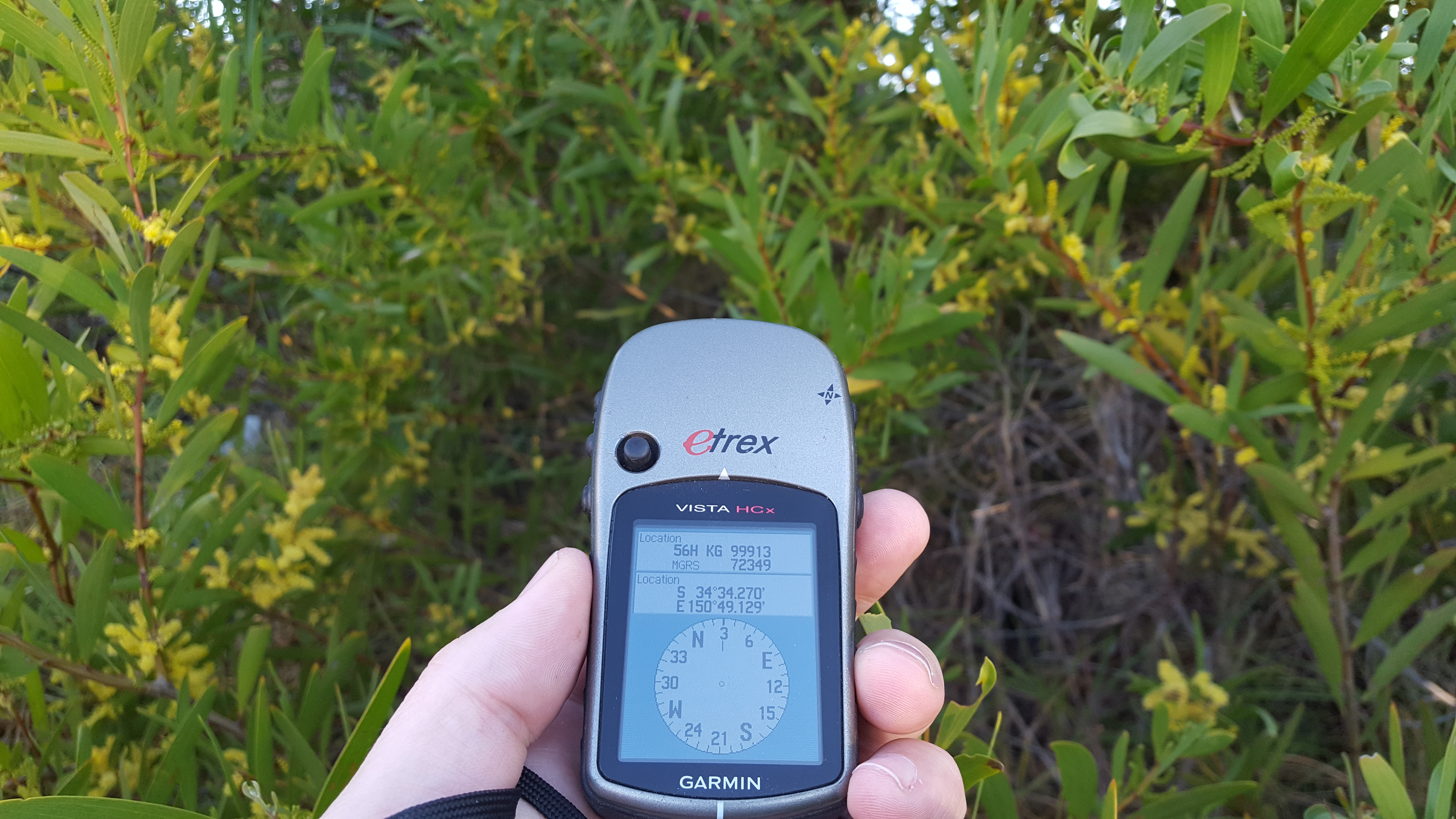 Searching through heavy bushland